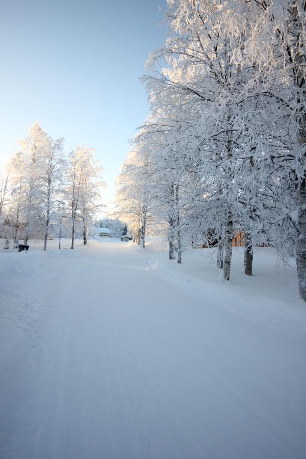 Matkailumaja Heikkala Cottages ルカ エクステリア 写真